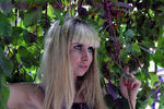 Julia Weeds : V 