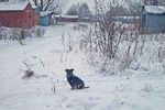 Natalia Soloviova : один 