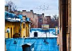 Арина Соколова :  
