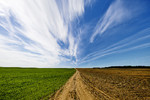 Victor Kostiuk : ...road... 
