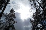 Александр Емельянов : вечереет 