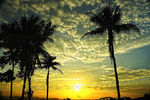 Edo Fernando Putra Agustar : Sunset in my village 