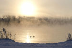 Victoria Monne : early morning 