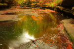 Mikhail Choumiatsky : Autumn River (Для Выставки) 