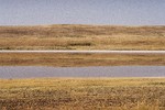 Gia Lapauri : THE SALTY LAKE 