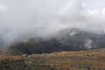 Aleksandr Platonychev : Mountain Washington 