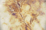 Иван Михайлов : lustro votum 
