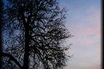 Алина Данг : Mystery... 