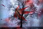 Arthur Kaminskiy :  