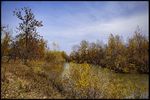 Сергей Ground : Осенний ерик 