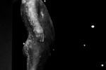 Michael Solovyov : naked boy 