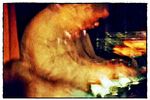 Dephazz- and-Jazz : David Bryant,piano Christian Scott Quintet 