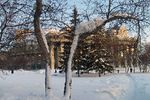 Natalia Soloviova : зимняя зарисовка 