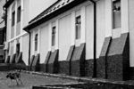 Kurt Abraham : Собачий вальс. 