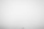 Юрий Притиск : 1606 
