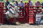 Mikhail & Ella Kusayev : Rodeo 