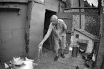 Андрей Прядко : ГОЛУБЯТНИК 