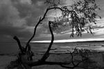 Андрей Прядко : Перед грозой 