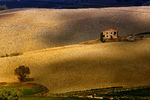 Елена Протчева : TOSCANA 