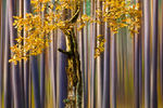 Владимир Ноздрачев : Fairy forest 