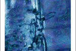 Yefim Tovbis : Blue Night 