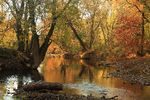 Boris Reyt : Millstone river 