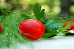 Andrei Logvinenko : Vegetables 