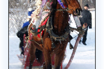 Виктор Крейдер : 2014 