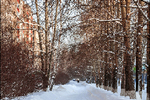 Олег Карташов : Городская тропинка 