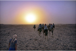 Юрий Тараканов : White sun of the Sahara 
