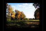 Sergei Orlov : Fall in New York state. 