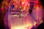Alexey Bragin : Romantic 