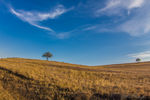   : Untitled 