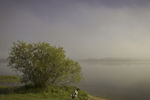 Виталий Никитин : Autumn fogs 